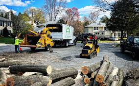 Best Seasonal Cleanup  in Jeffersonville, IN